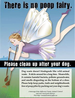 No poop fairy poster