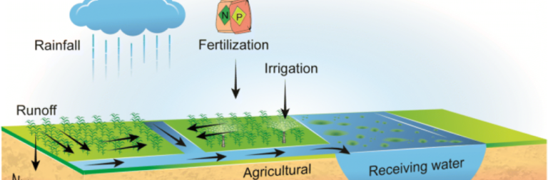 phosphorous transport from agriculture to receiving water